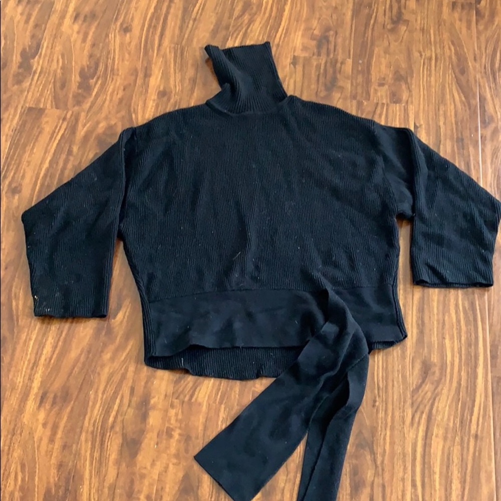 Zara Heavy Knit Turtleneck sweater